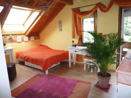 Bed & Breakfast Wepfer Grüt Chambre photo